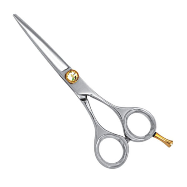 Barber Scissors